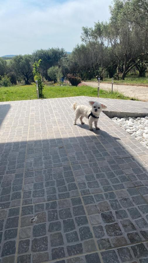 Mediterranean Escape フロギタ エクステリア 写真