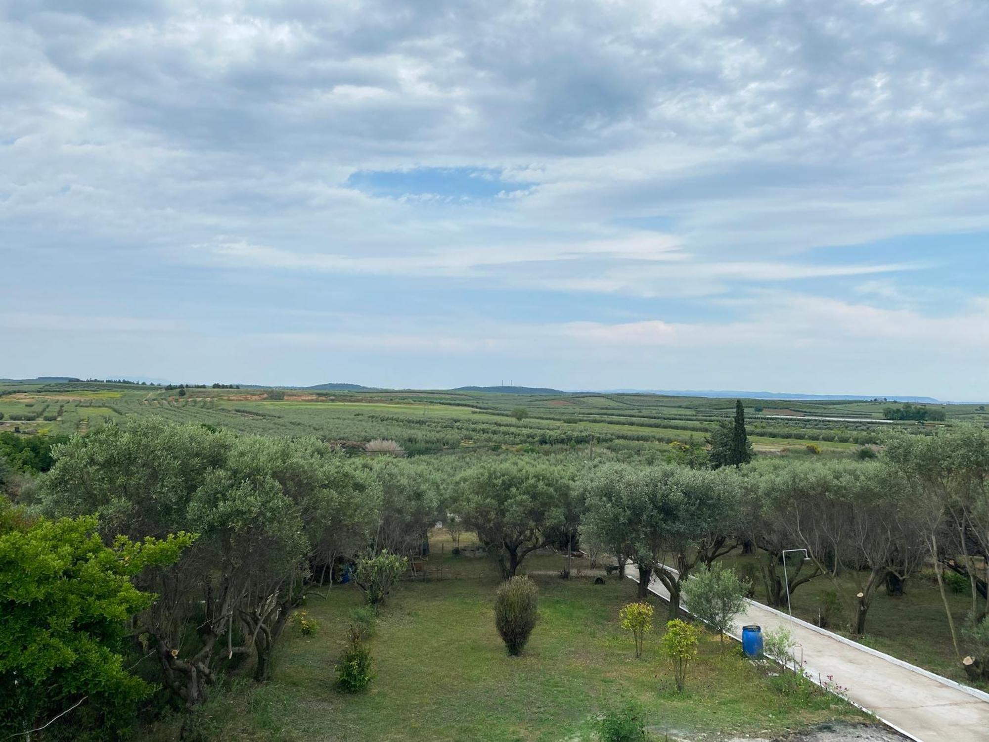 Mediterranean Escape フロギタ エクステリア 写真